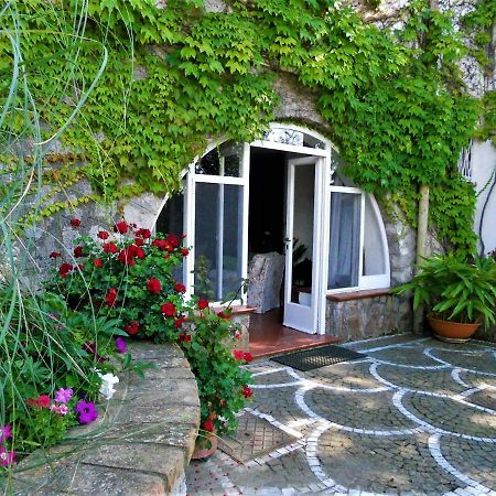 Villa Le Olivine Sorrente Extérieur photo