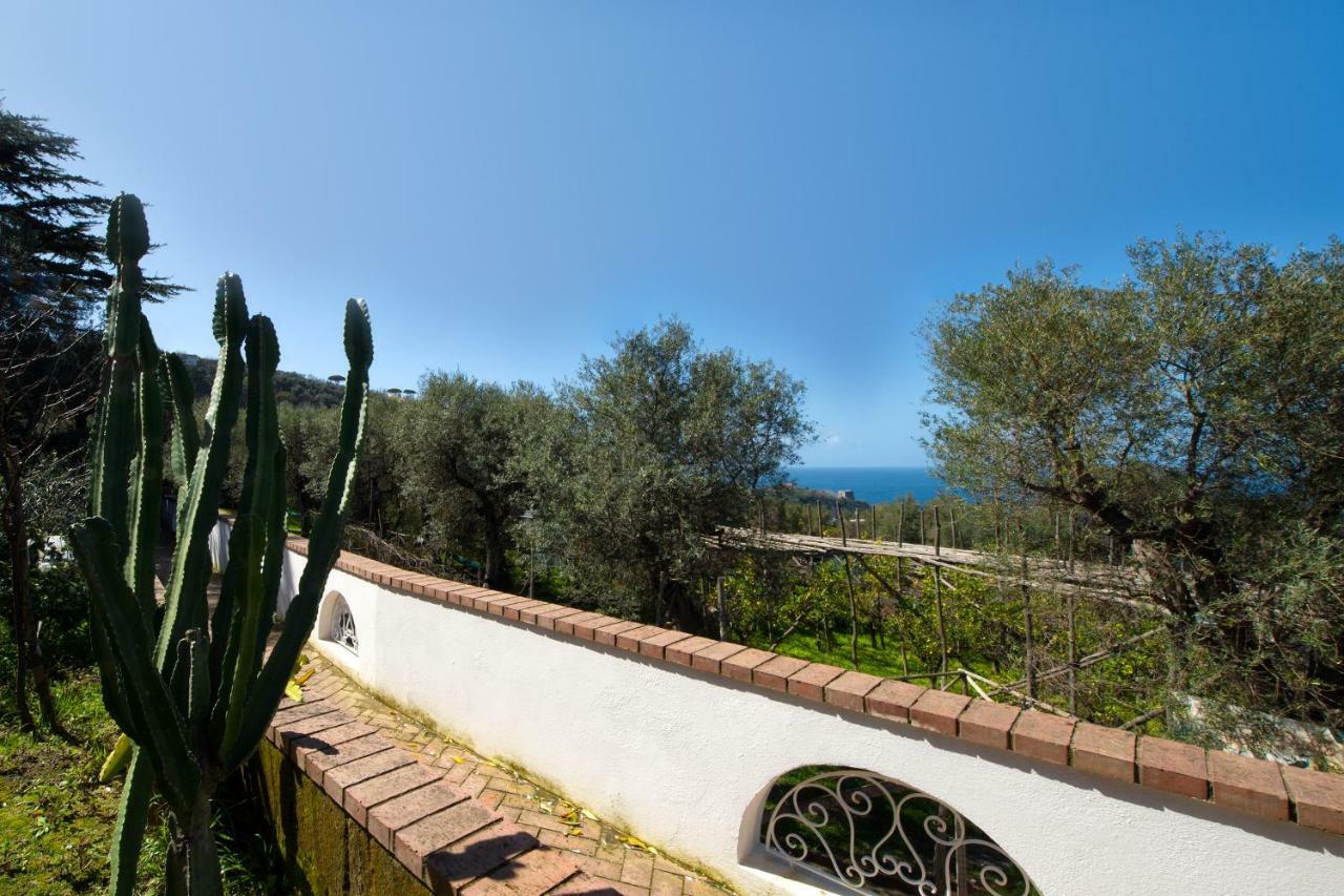 Villa Le Olivine Sorrente Extérieur photo