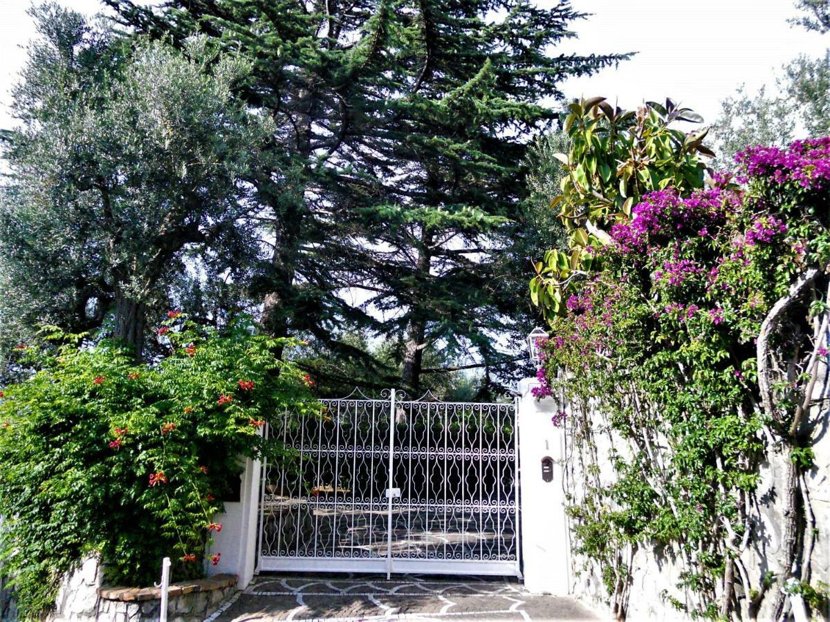 Villa Le Olivine Sorrente Extérieur photo