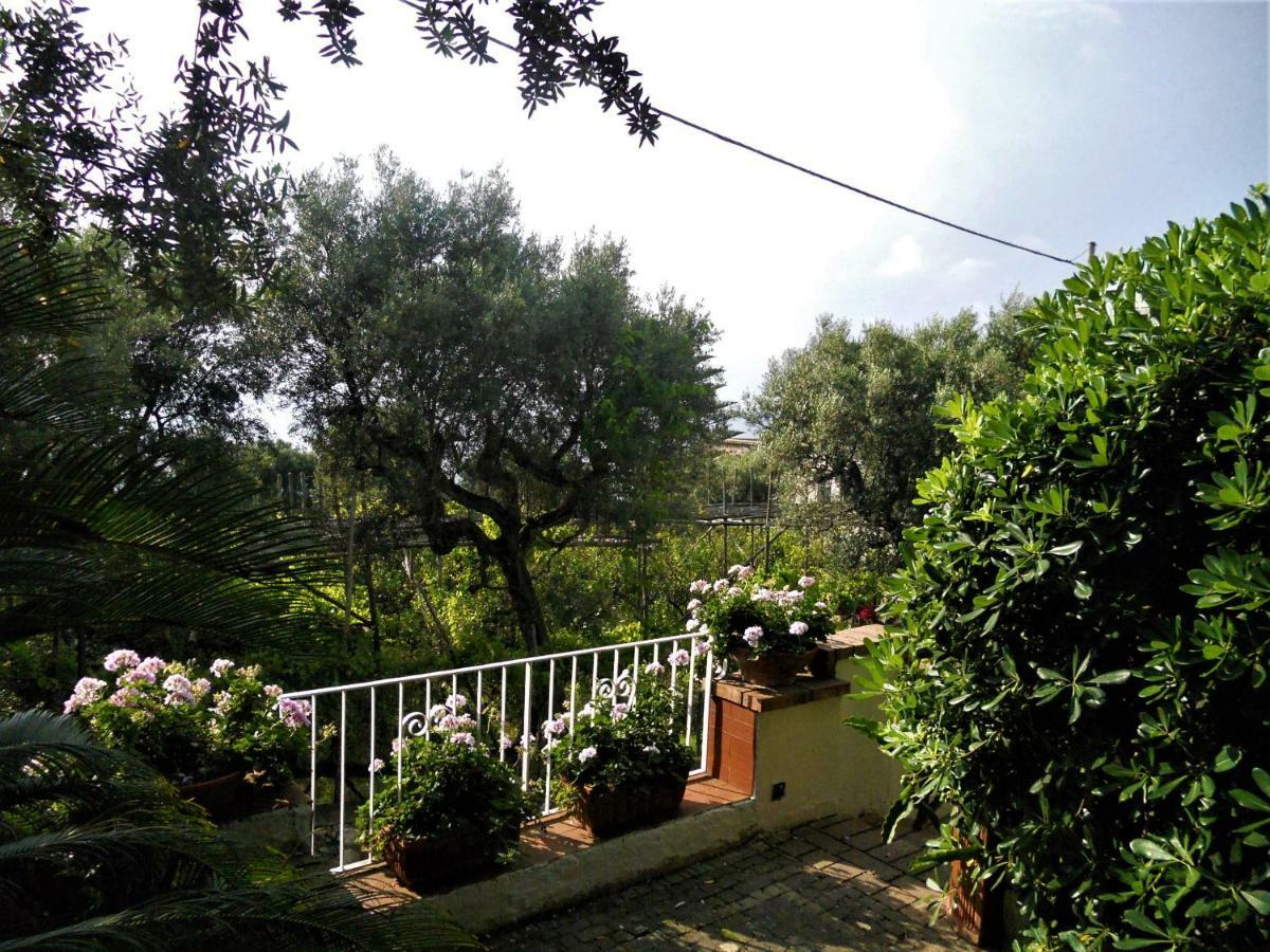 Villa Le Olivine Sorrente Extérieur photo