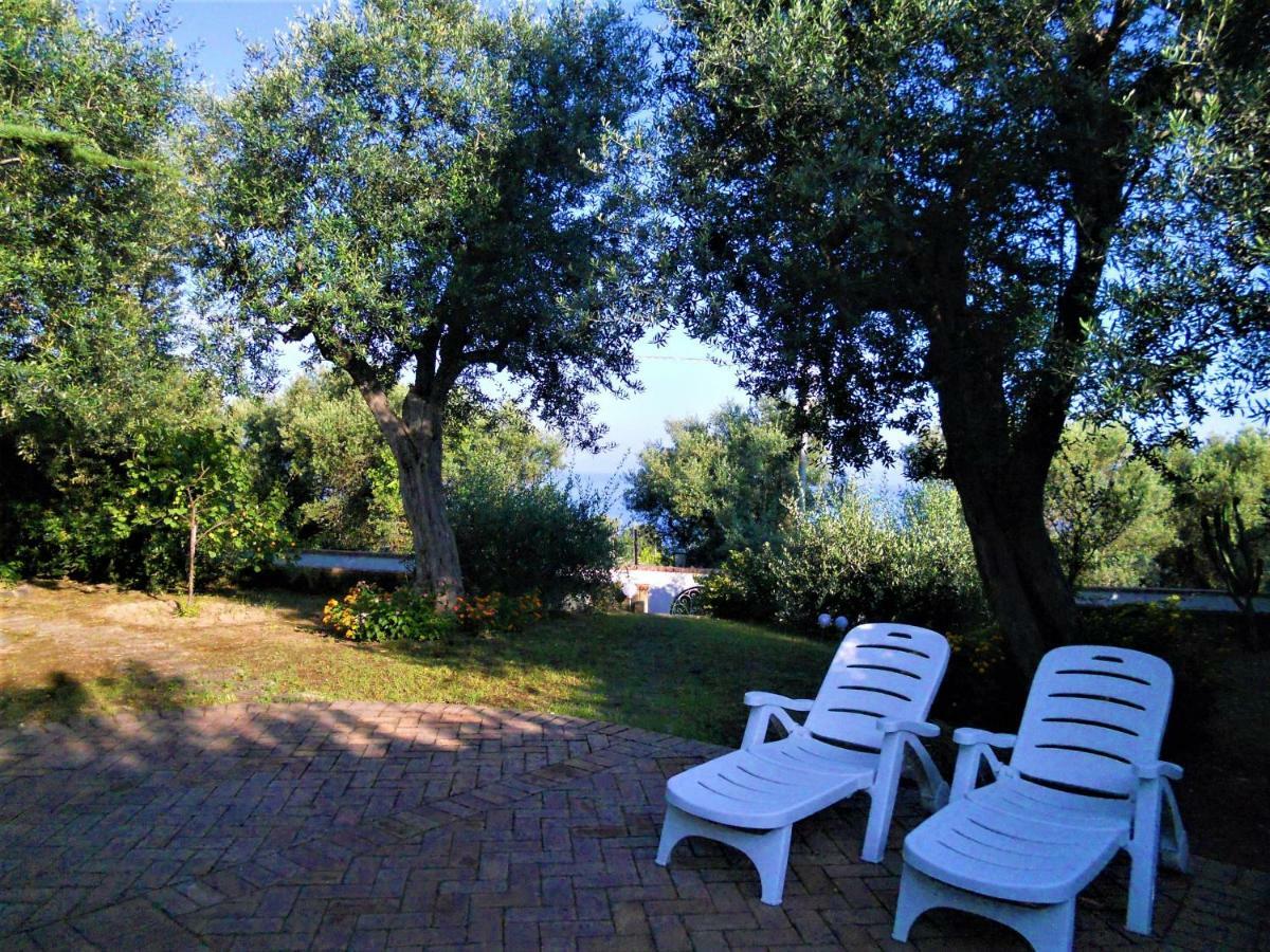 Villa Le Olivine Sorrente Extérieur photo
