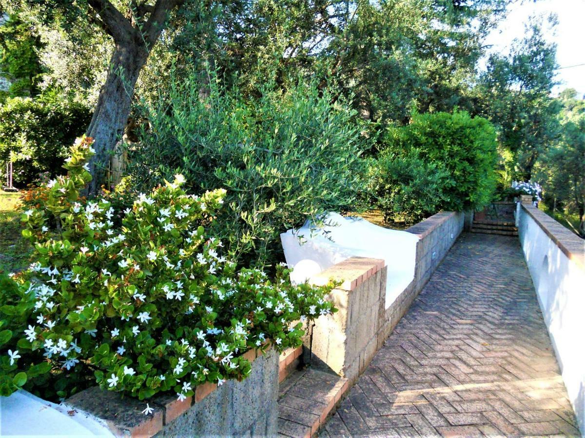 Villa Le Olivine Sorrente Extérieur photo